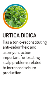 styleperfetto-urtica-dioica