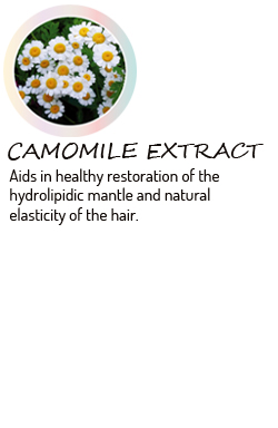 Kaaral-Purify-Camomile-Extract