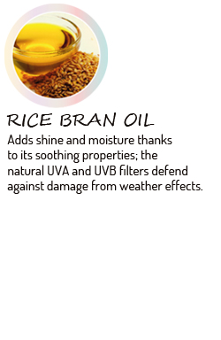 Kaaral-Purify-Rice-Bran-Oil