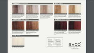 BACO color chart 2